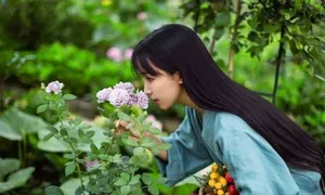 Lý Tử Thất lộ diện